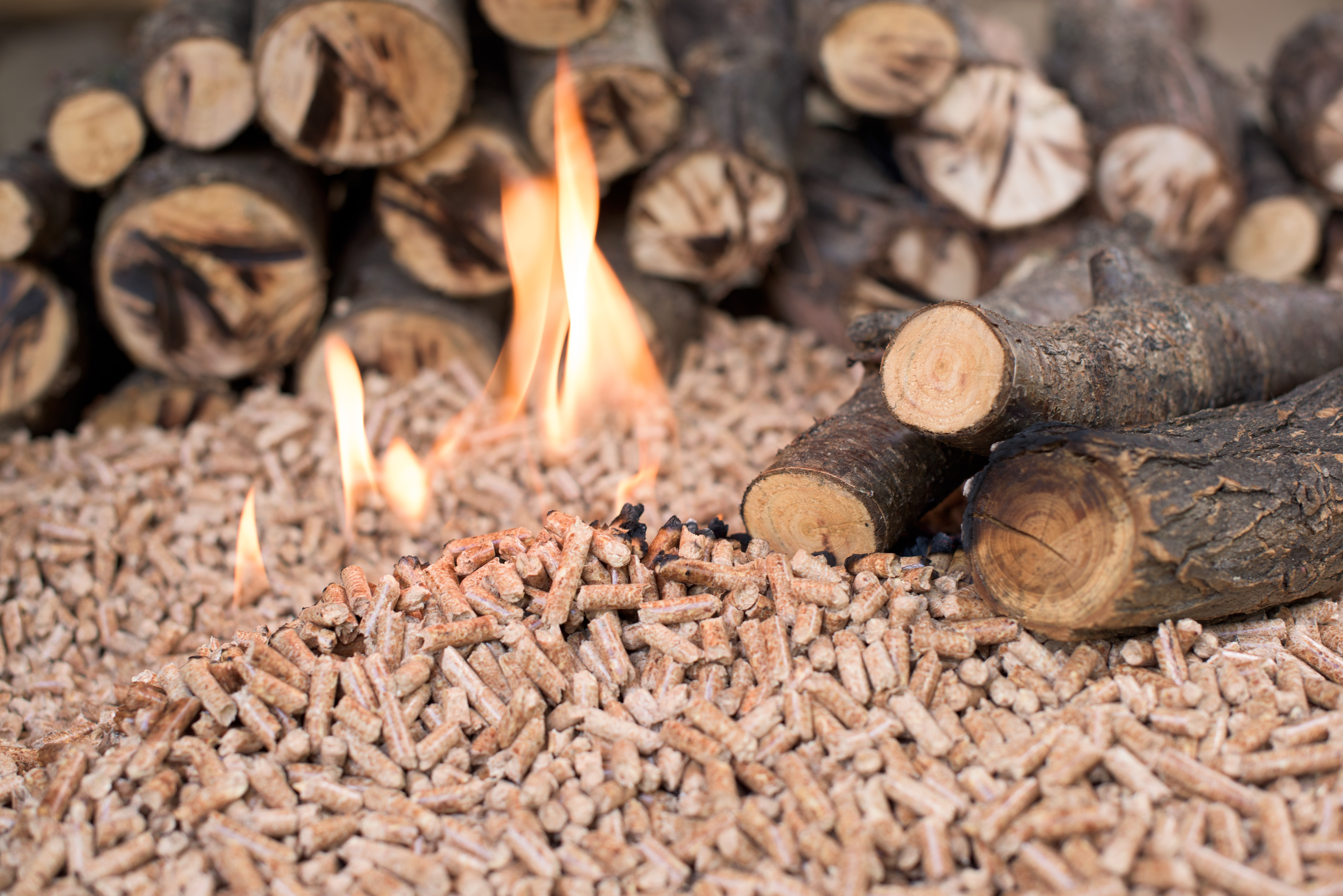 Vše, co potřebujete vědět o dřevěných peletách