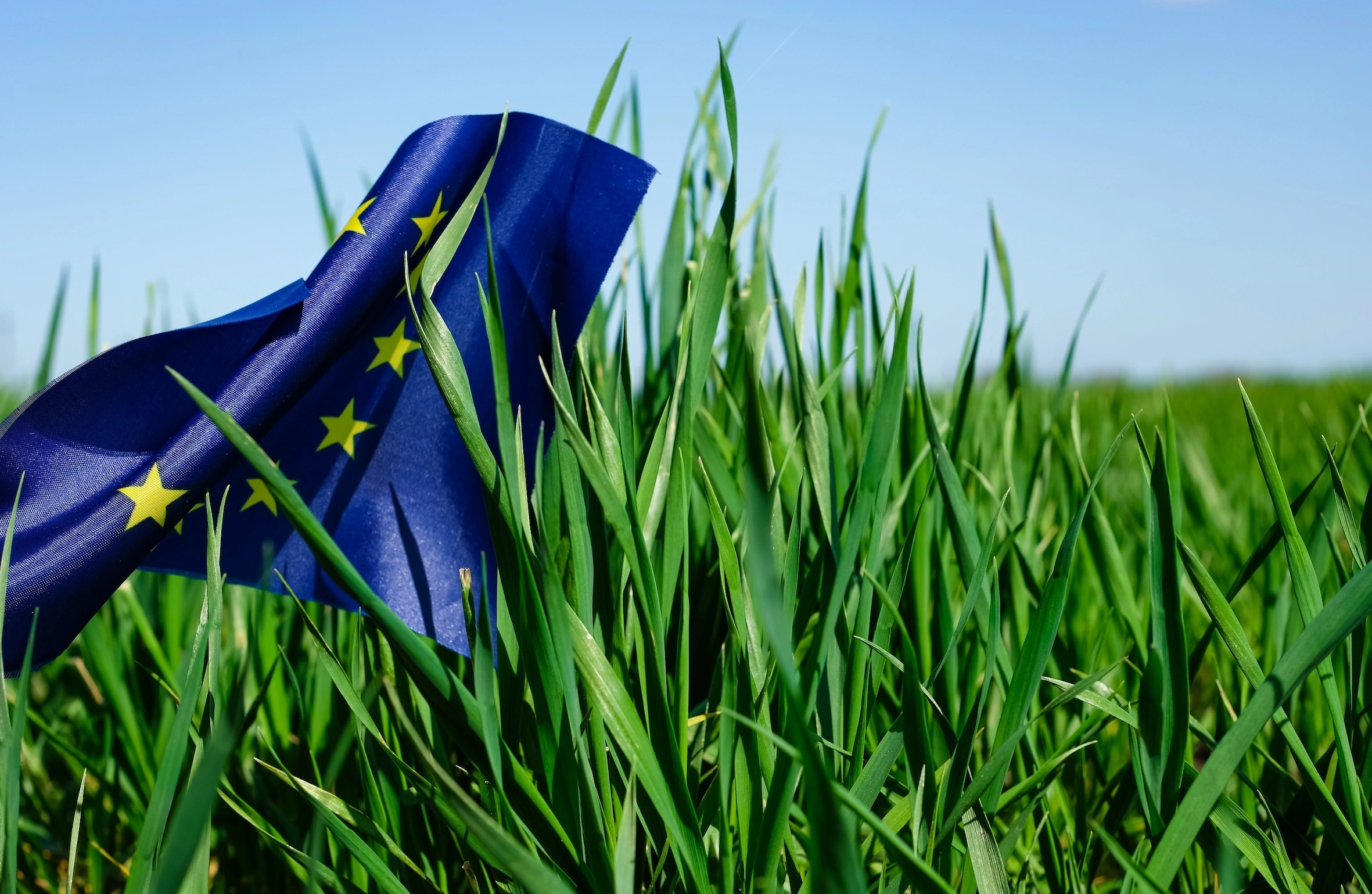 Vlajka EU