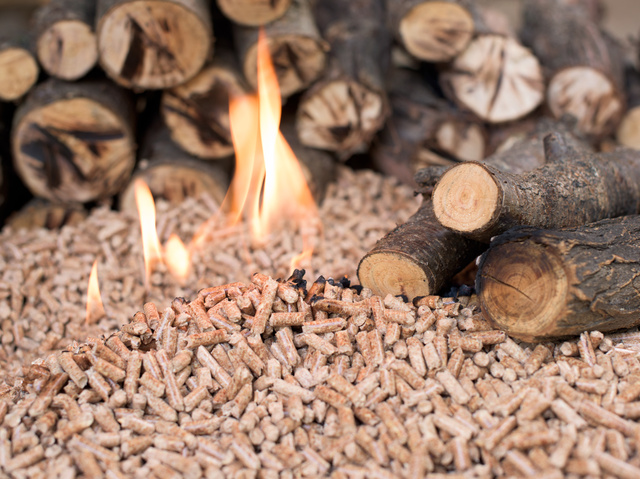 Vše co potřebujete vědět o dřevěných peletách